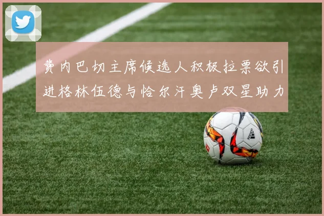 费内巴切主席候选人积极拉票欲引进格林伍德与恰尔汗奥卢双星助力球队