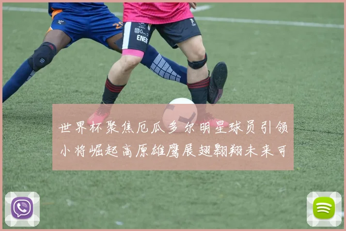 世界杯聚焦厄瓜多尔明星球员引领小将崛起高原雄鹰展翅翱翔未来可期