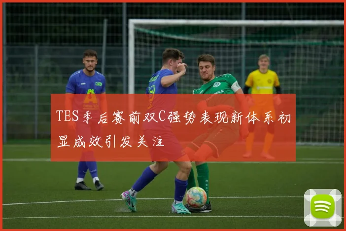 TES季后赛前双C强势表现新体系初显成效引发关注